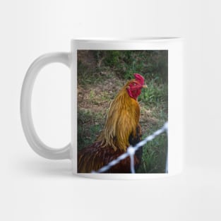 Mr  Rooster Mug